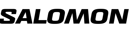 サロモン ストア