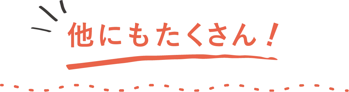 他にもたくさん！