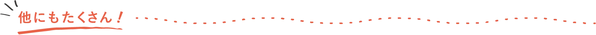 他にもたくさん！