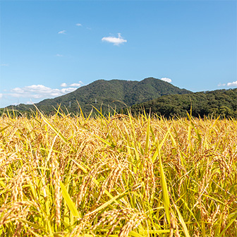 「聴いて旅する幕の内 おととめし meets 出雲」POP UP STORE OPEN。