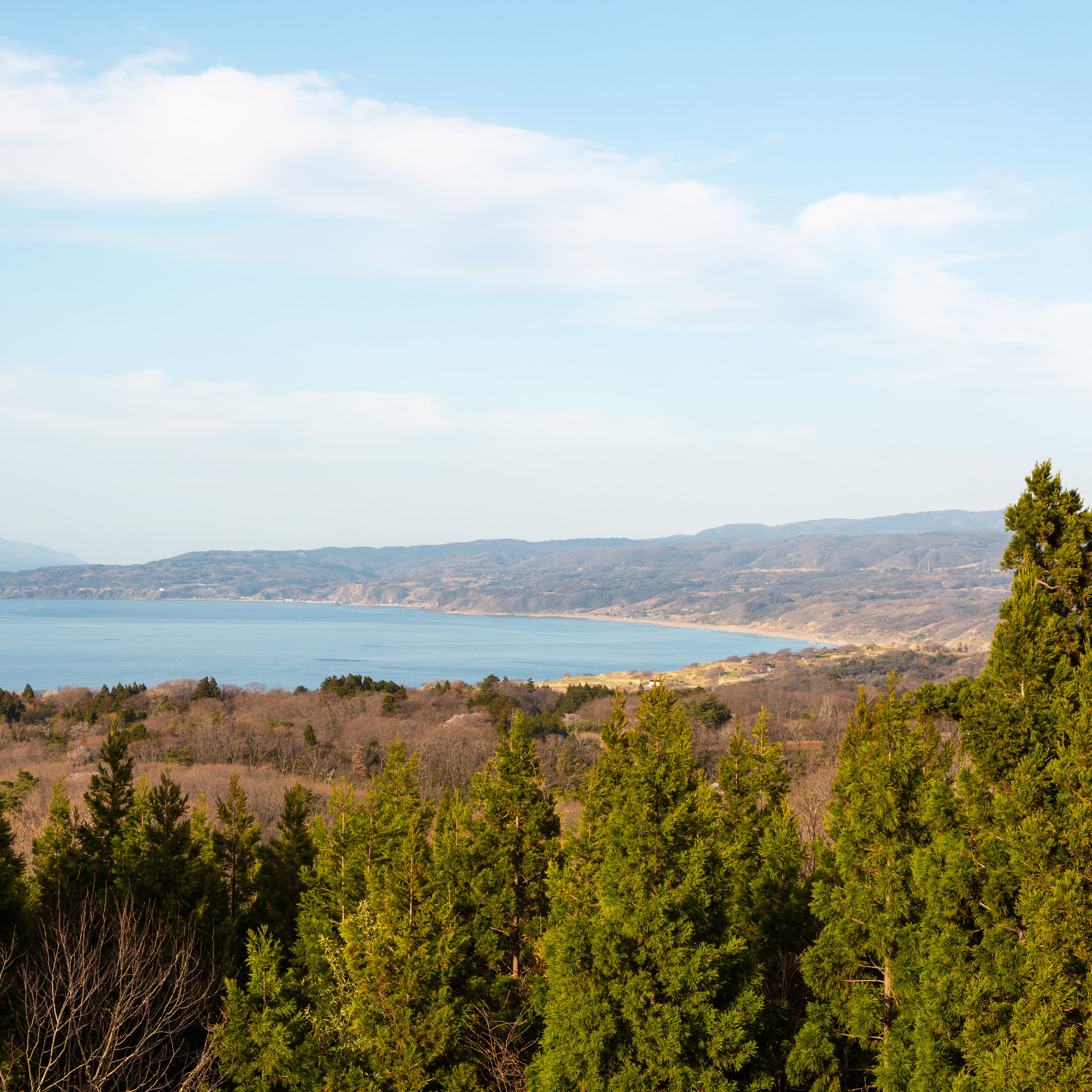たたこう館 宮﨑正美さん