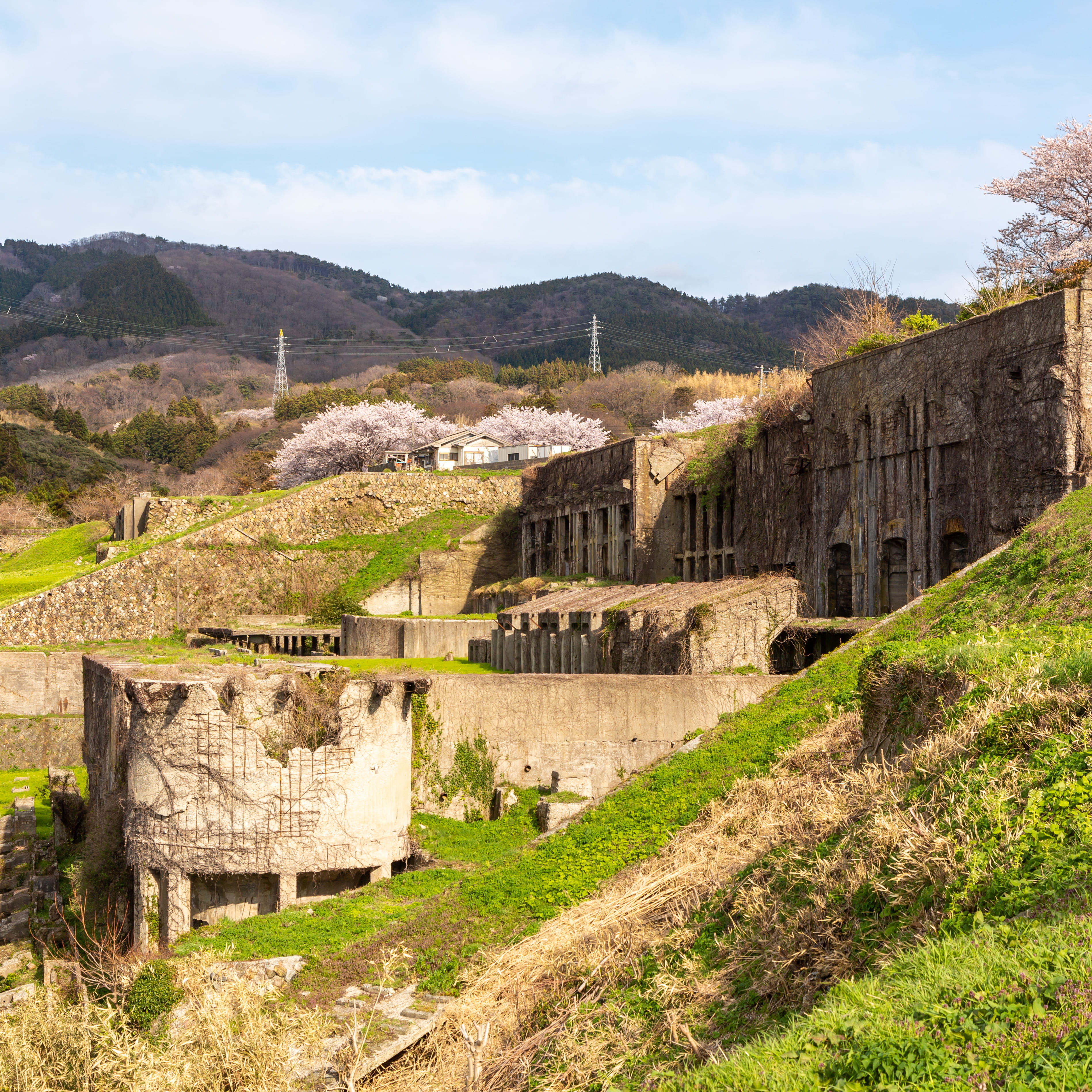北沢窯 其田弘輔さん