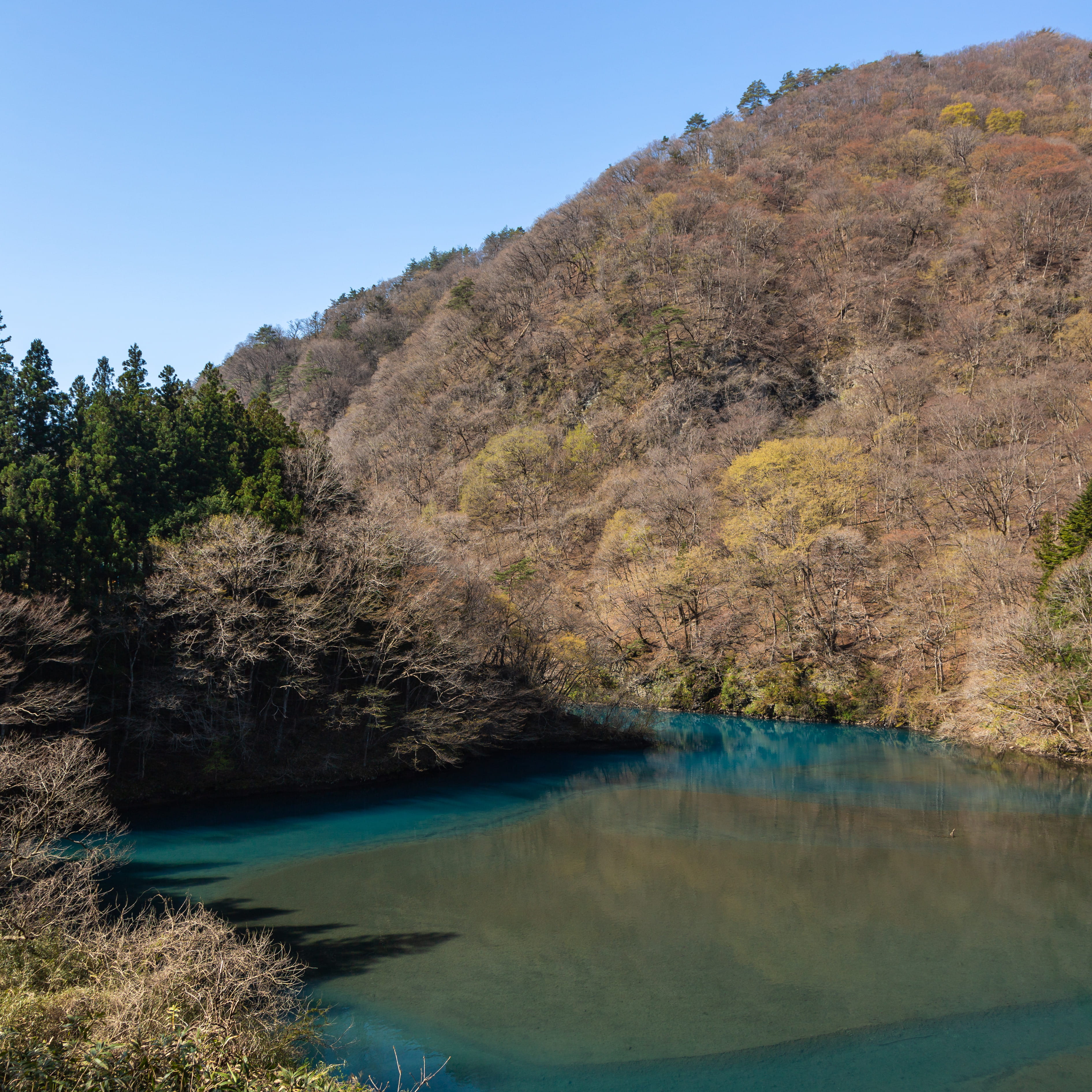 中之条町観光協会 原沢香司さん