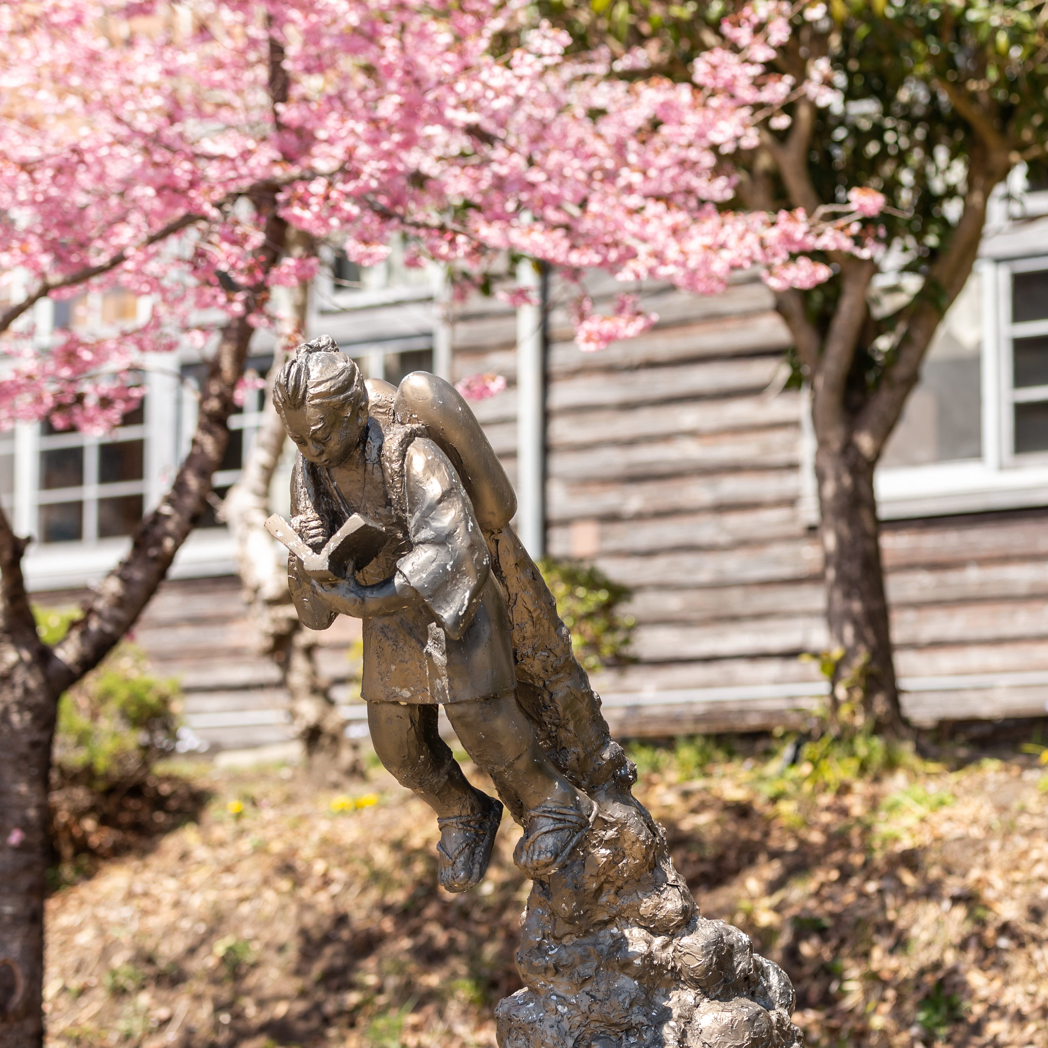 中之条町観光協会 原沢香司さん