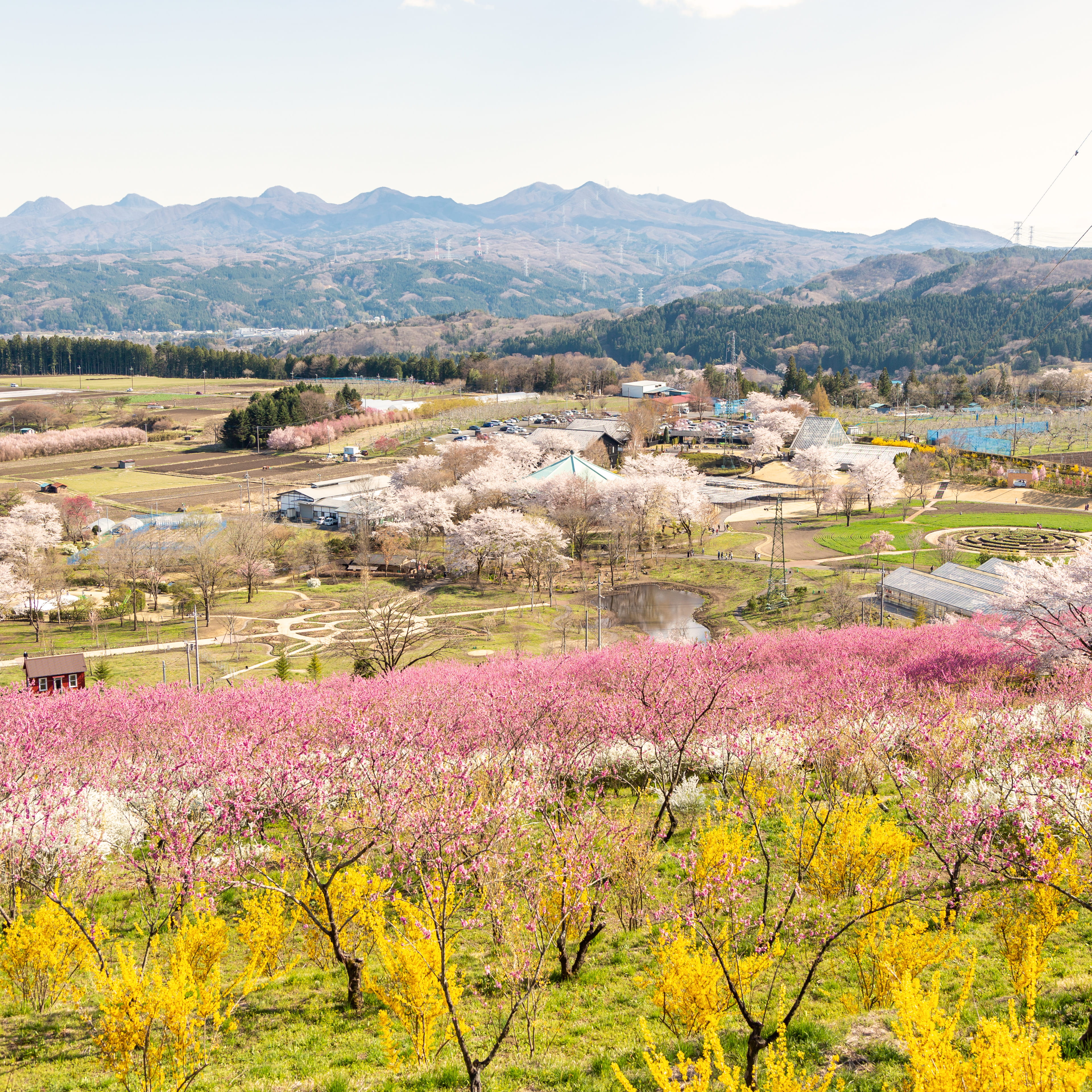 中之条ガーデンズ 森山さん夫妻