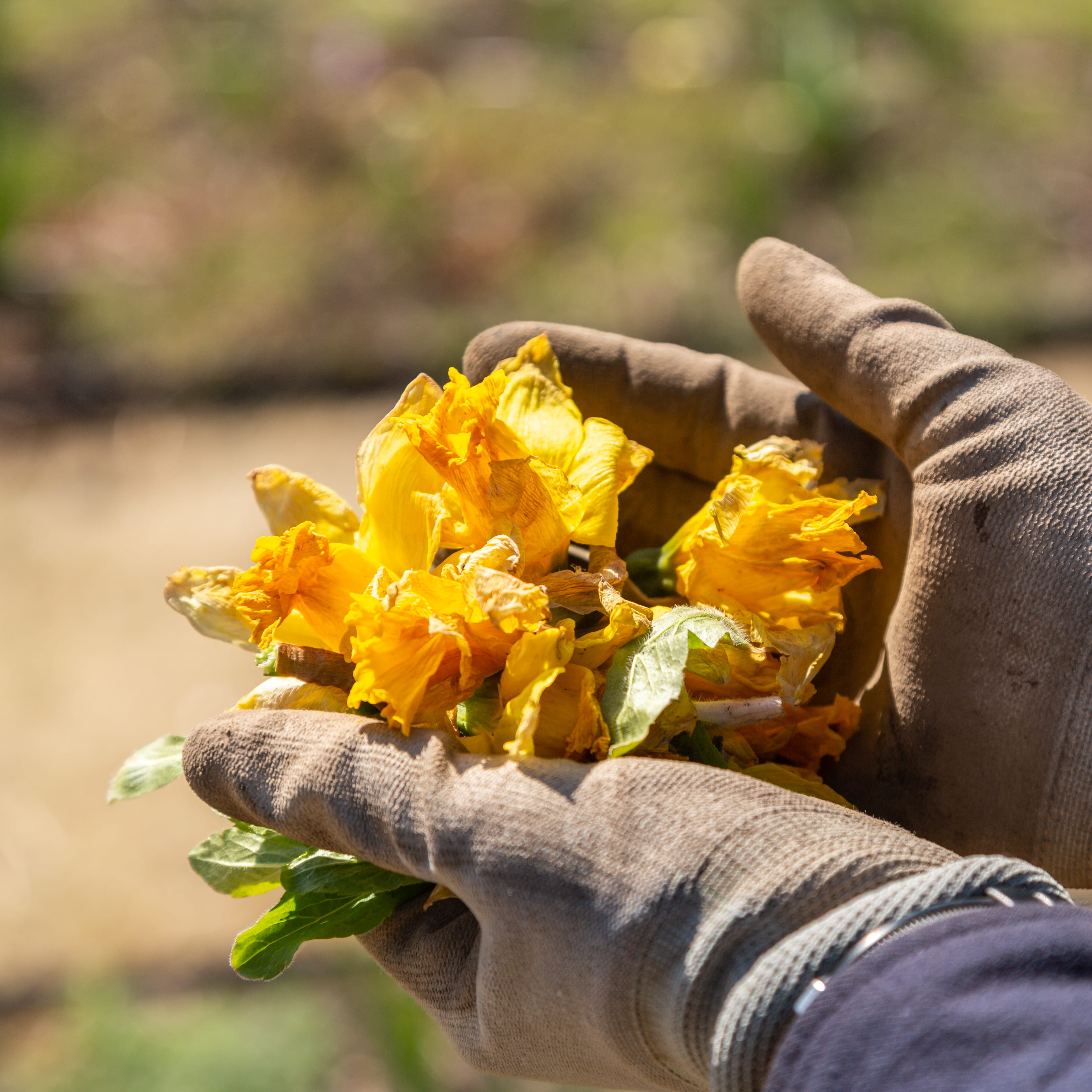 中之条ガーデンズ 森山さん夫妻