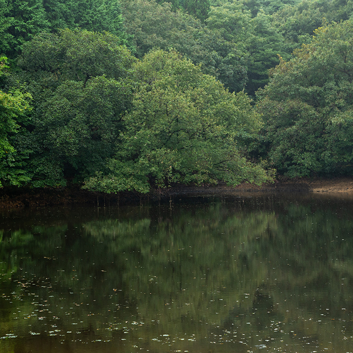 米農家 佐藤文男さん