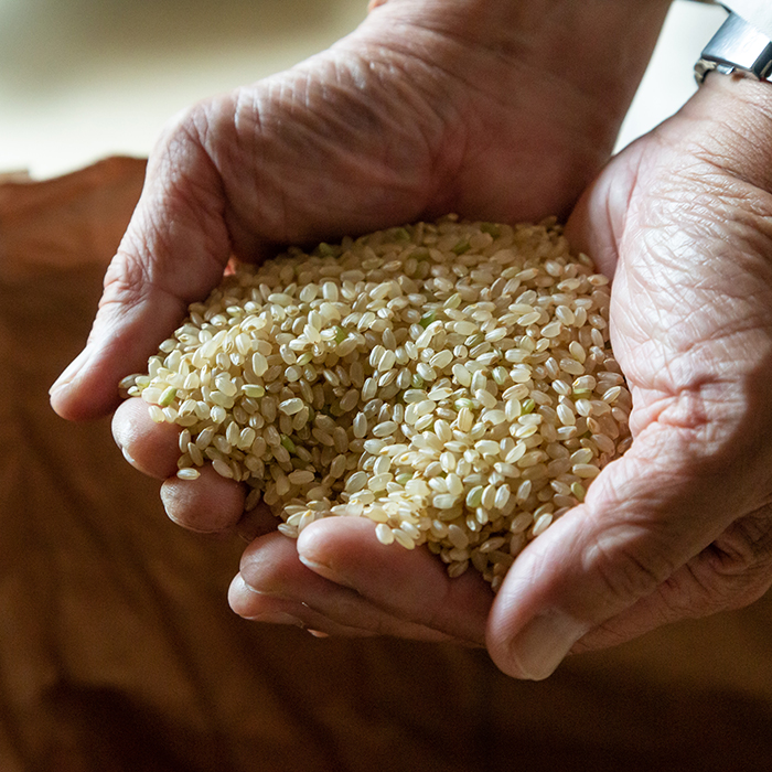 米農家 佐藤文男さん