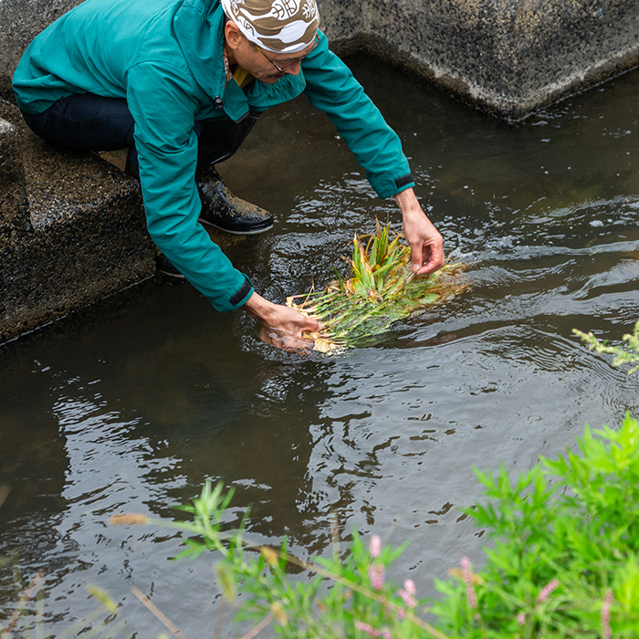 出西生姜農家 小原裕輔さん