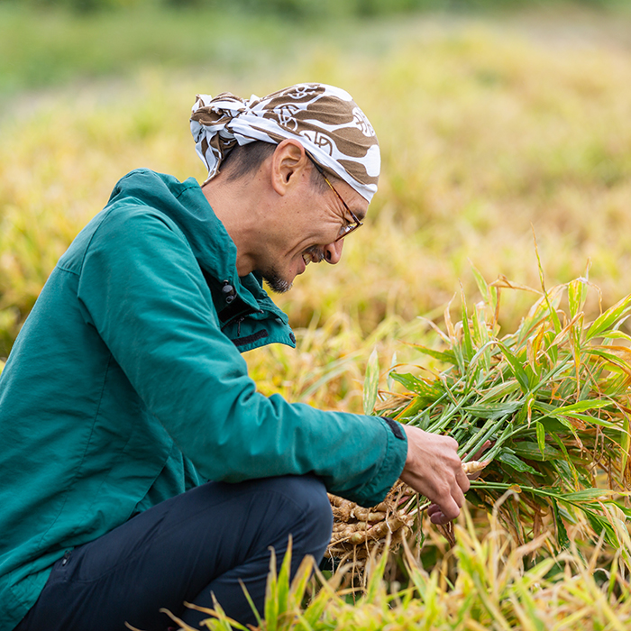 出西生姜農家 小原裕輔さん