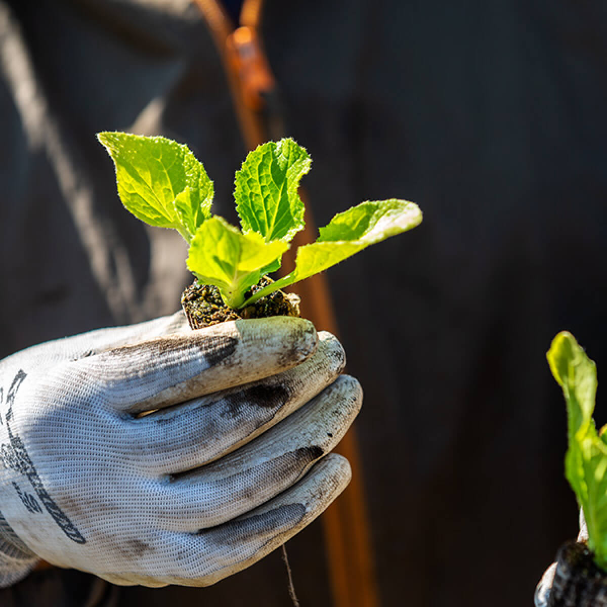 旅先で出会ったPEOPLEおすすめの美味しいものたちがご自宅に
