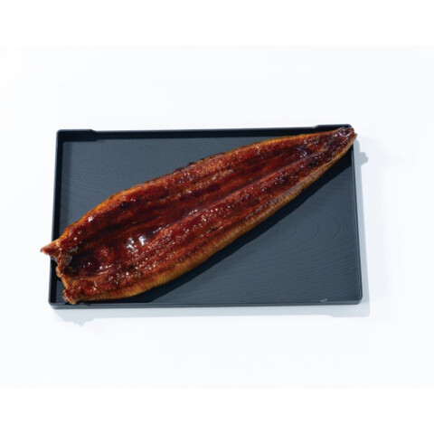 魚力
