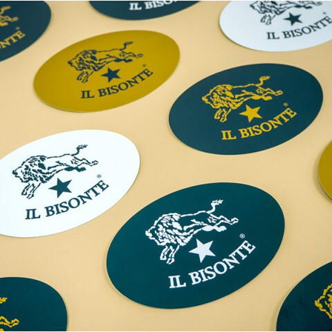 IL BISONTE