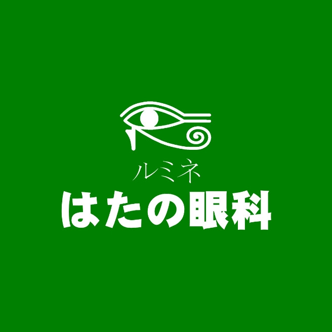 ルミネ藤沢はたの眼科