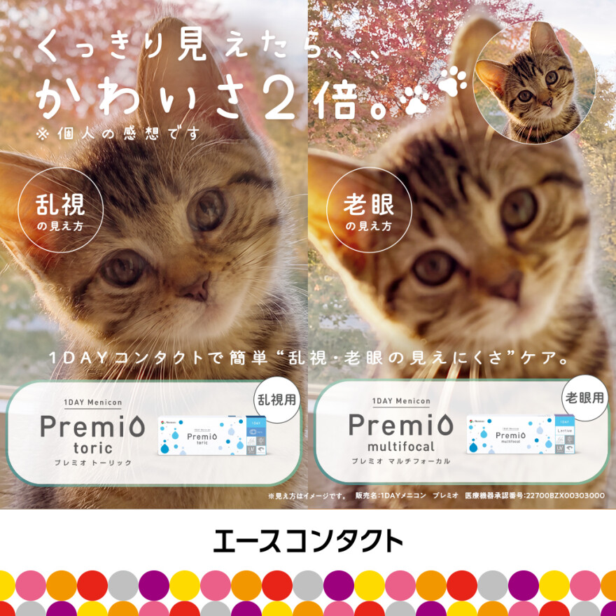 その見えづらさ度数ではなく見え方の問題かも…?