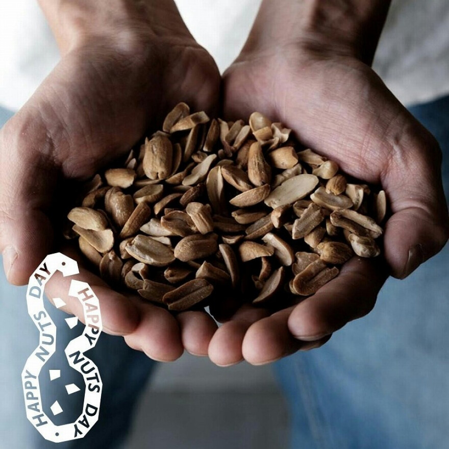 「HAPPY NUTS DAY」来店試食販売会