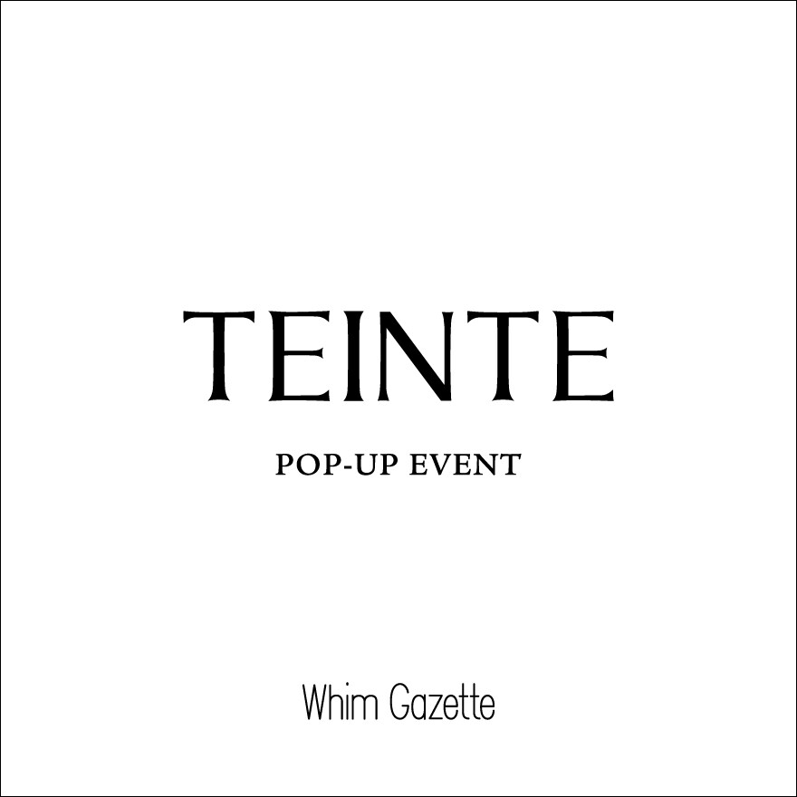 【TEINTE】　POPUP