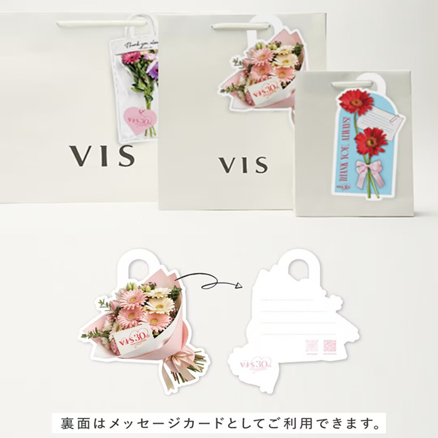 VIS30周年ANNIVERSARY