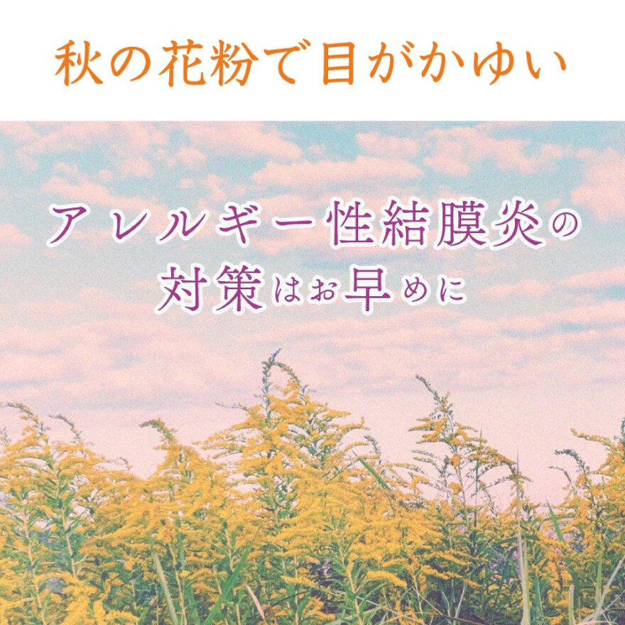 秋の花粉症　ご相談ください