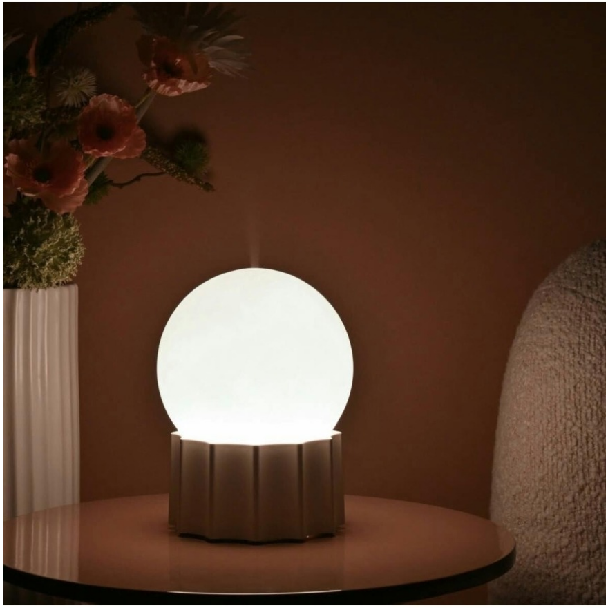 加湿器で乾燥から守る 									