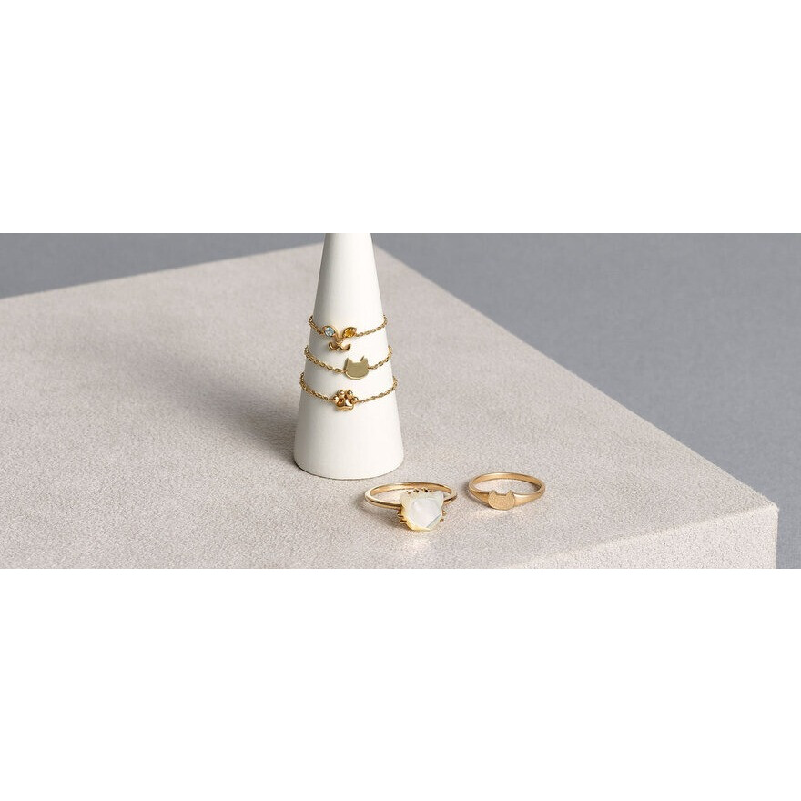 vaヴァンドーム青山　Me＆Cats