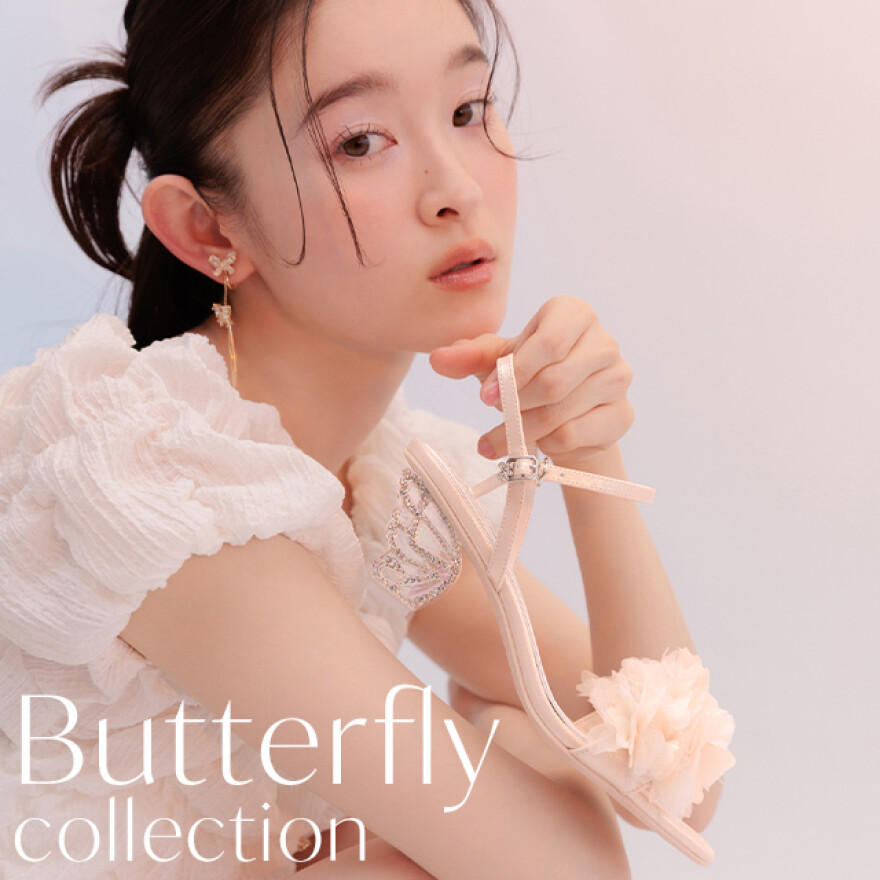 Butterfly collection