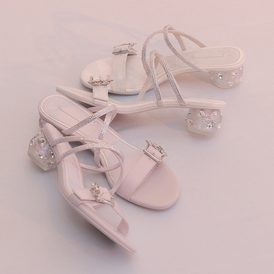 Butterfly collection