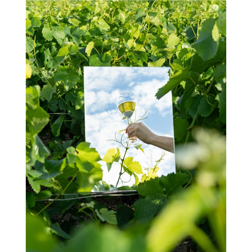 今年の締めくくりは、シャンパーニュで!