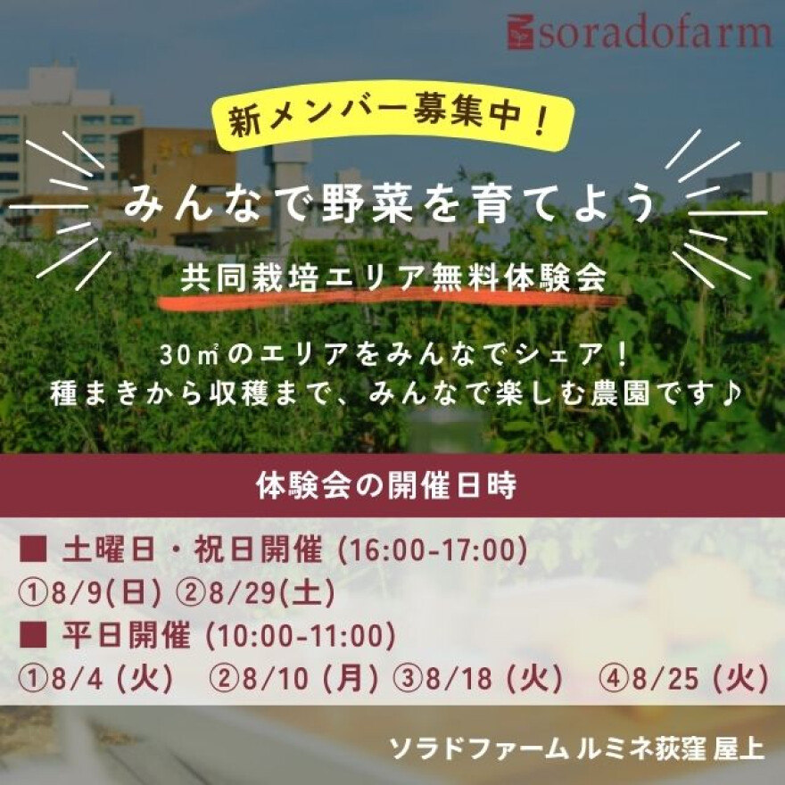 新メンバー募集中！ソラドファーム無料体験会