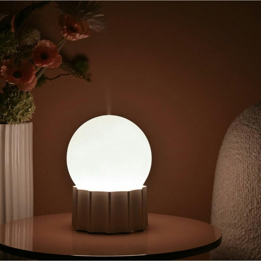 加湿器で乾燥から守る