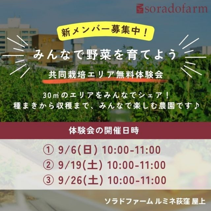 新メンバー募集中！ソラドファーム無料体験会