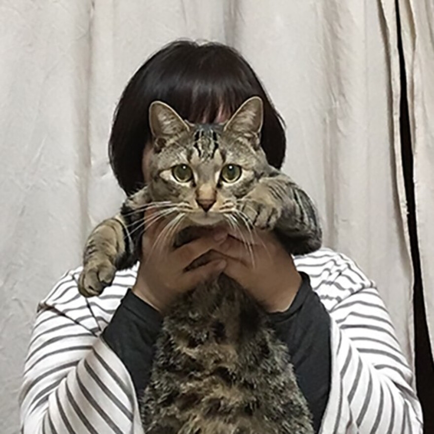 おうちのなかのかんばんを作ろう！