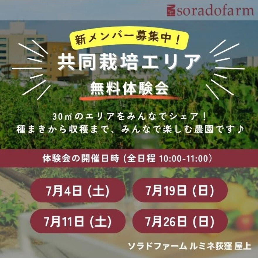 新メンバー募集中！ソラドファーム無料体験会