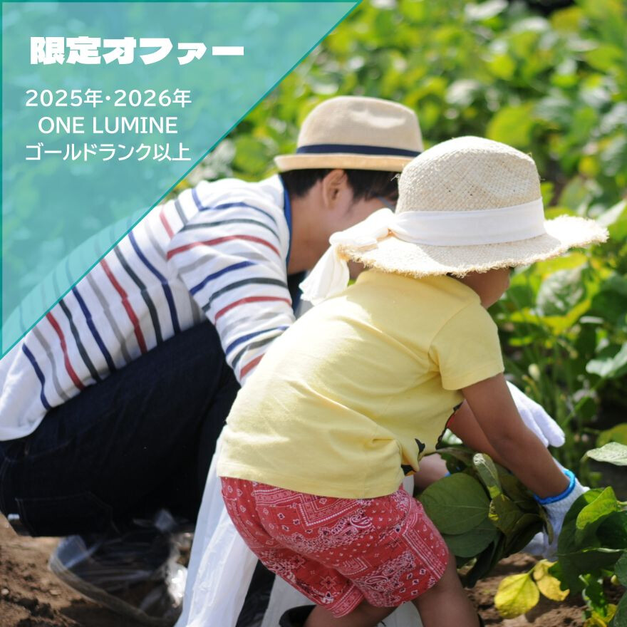 【2025年・2026年ゴールドランク以上限定オファー】Family FOOD CAMP