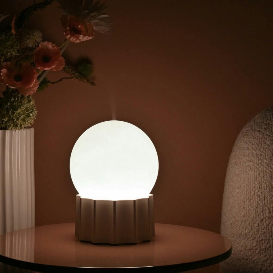 加湿器で乾燥から守る