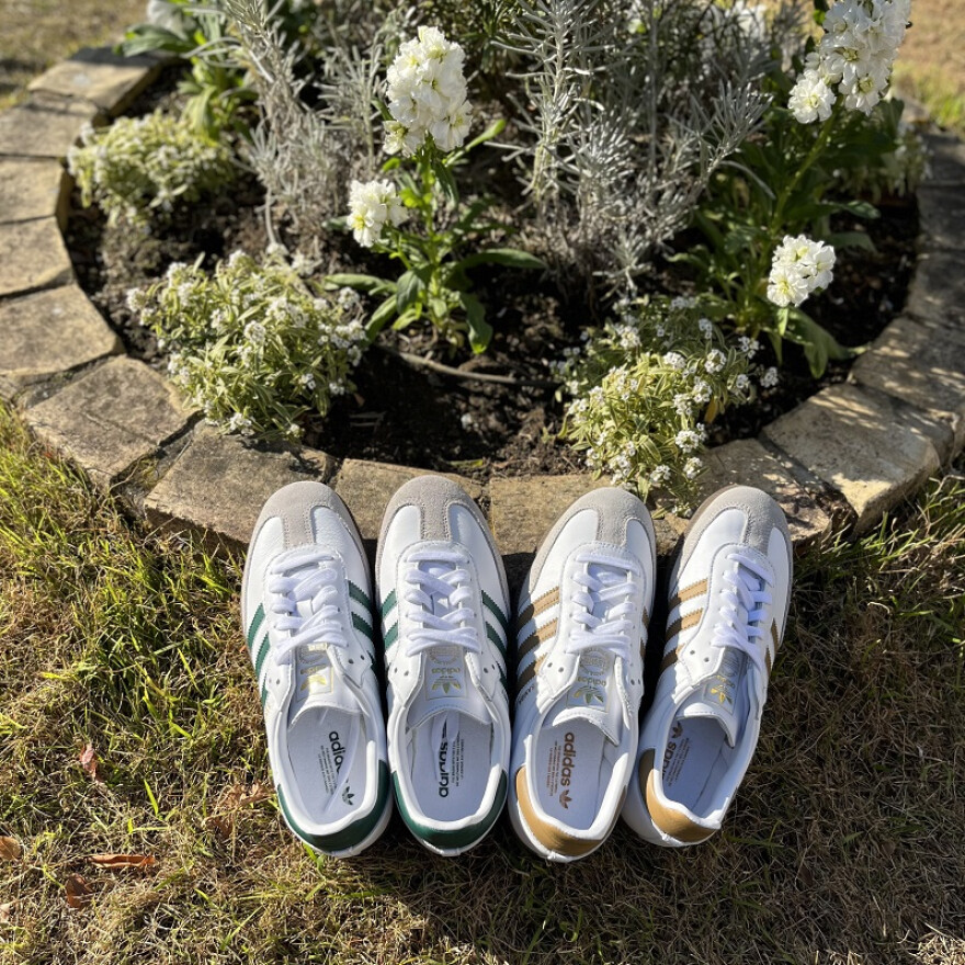 人気のadidasサンバ新色入荷！！