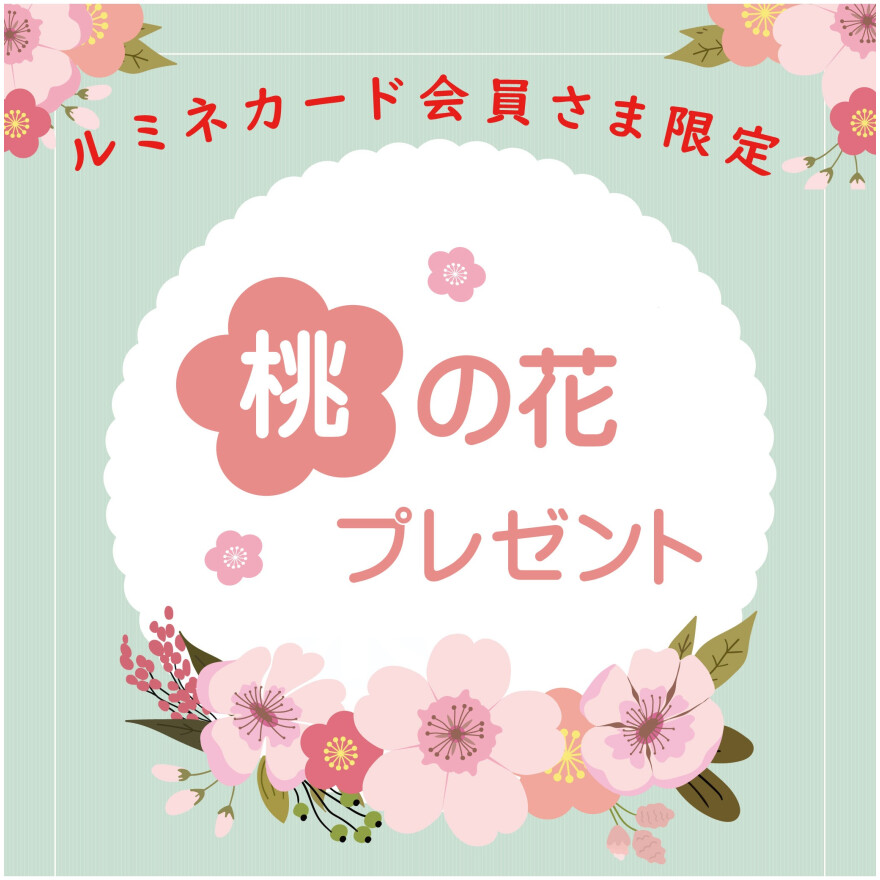 ルミネ藤沢　2026 桃の花プレゼント