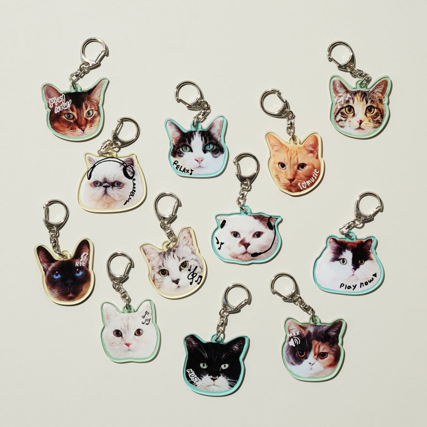 Cat's Nap Time 第12弾!!