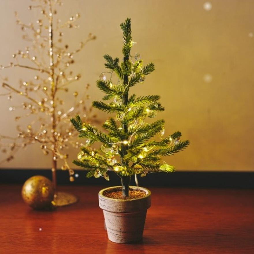 ★ダブルデイのクリスマス★