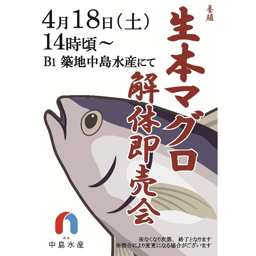 生本マグロ解体即売会