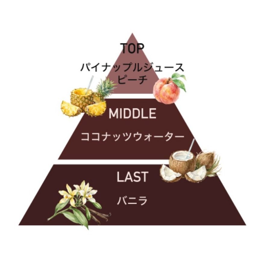 夏の限定コレクション第二弾