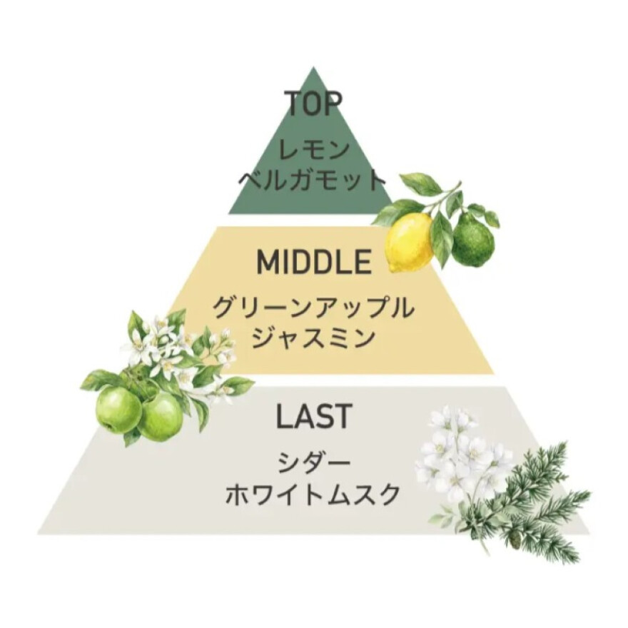 夏の限定コレクション発売スタート!