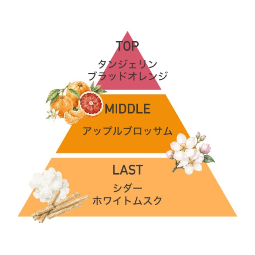 夏の限定コレクション第二弾