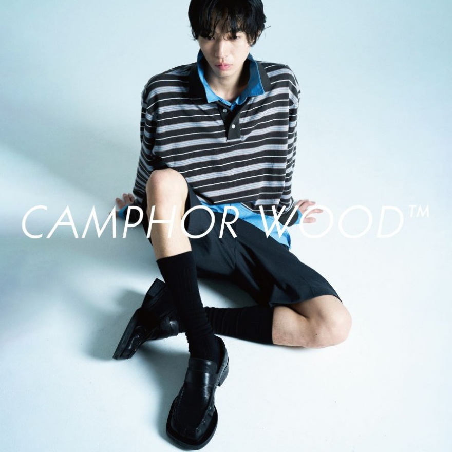 CAMPHOR WOOD POPUP