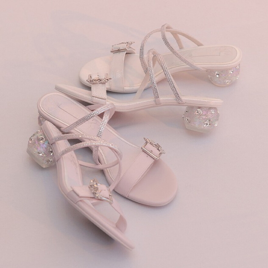 Butterflyコレクション