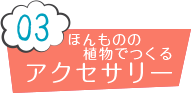 03 ほんものの植物でつくる アクセサリー