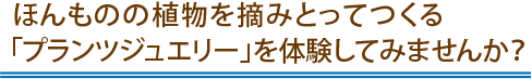 ほんものの植物を摘みとってつくる「プランツジュエリー」を体験してみませんか？